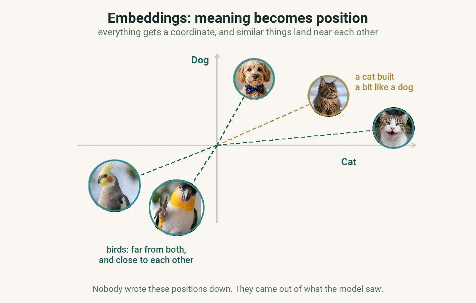 Diagram of a plane with a "Dog" axis and a "Cat" axis, with animal photographs placed on it. A dog sits near the dog axis; a cat near the cat axis; a maine coon between the two and still closer to the cat; and two birds land together in the quadrant opposite both.