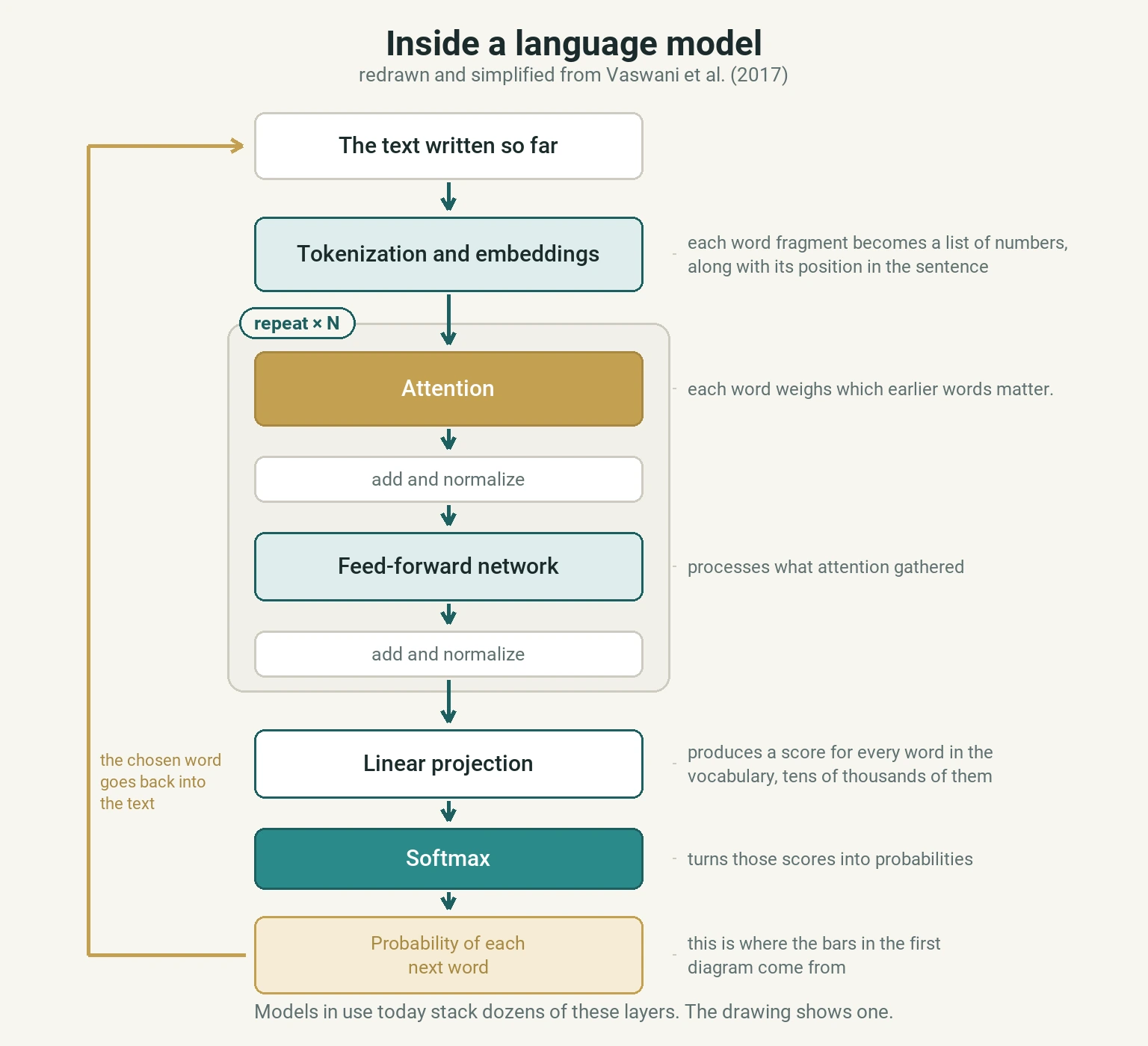 Vertical diagram of a language model: text enters, passes through tokenisation and embeddings, then through a repeated stack of masked attention and a feed-forward network, and ends in a linear projection and softmax, which produce the probability of each next word.