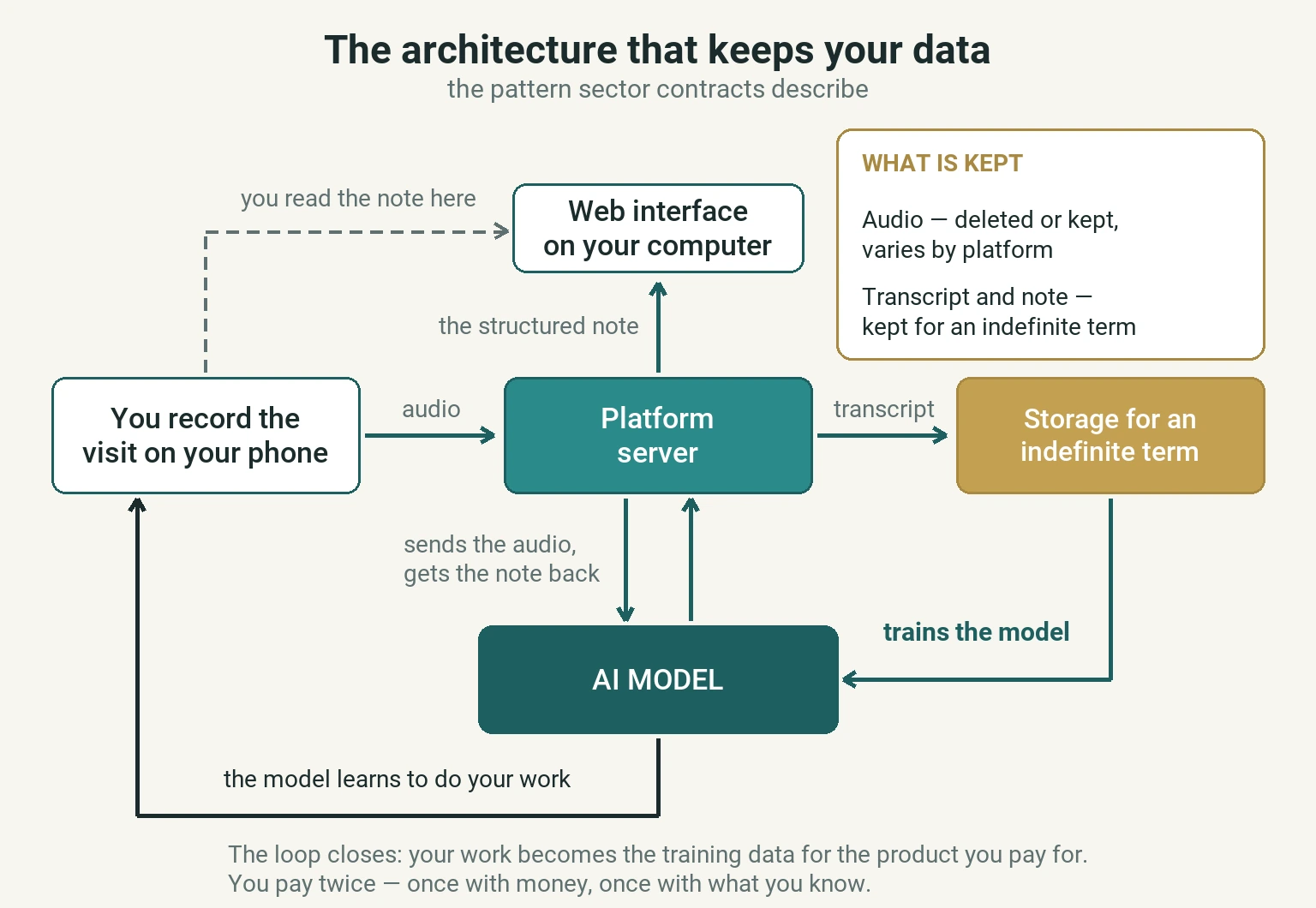 Diagram of the architecture that keeps the data: you record the visit on your phone, the platform's server processes it, returns the structured note to the web interface and sends the transcript to storage for an indefinite term. That archive trains the AI model, and the model learns to do your work, closing the loop back onto you.